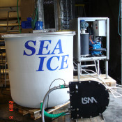 Sea Ice ice maker